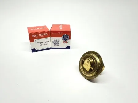 THERMOSTAT EAU 