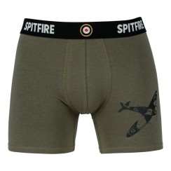 BOXER SPITFIRE